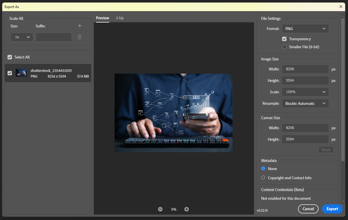 Photoshop export screen showing an oversized website image at 8256 by 5504 pixels with a file size of 57.4 MB before resizing or compression.